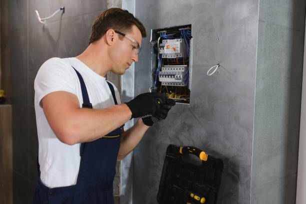 Best Electric Panel Repair  in Nroe City, MO